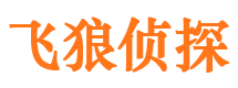 夏县外遇调查取证